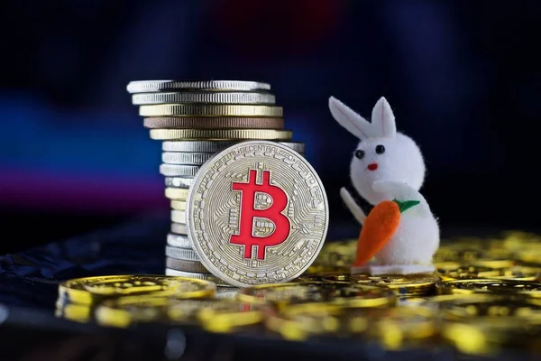 Bitcoin para. Cryptocurrency kavramı.