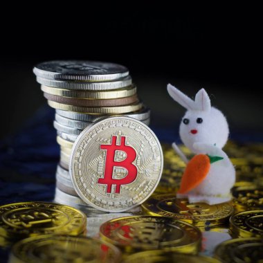 Bitcoin para. Cryptocurrency kavramı.