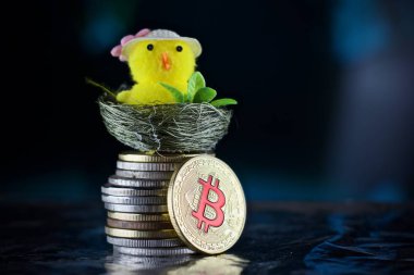 Bitcoin Paskalya kavramı