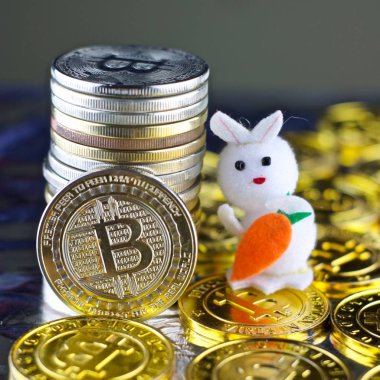 Bitcoin para. Cryptocurrency kavramı.