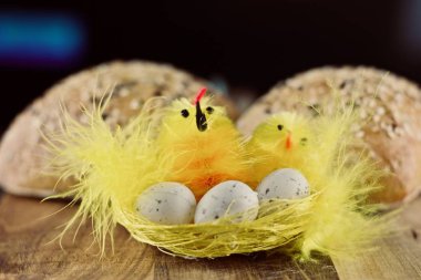 Taze rulo Paskalya kavramı