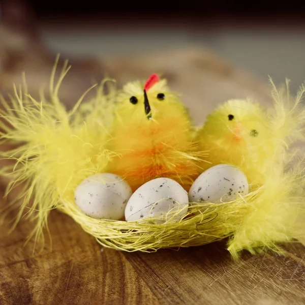 Yellow easter chicken — Stock Photo, Image