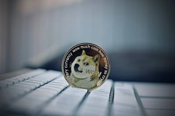 Dogecoin beyaz klavye üzerinde — Stok fotoğraf