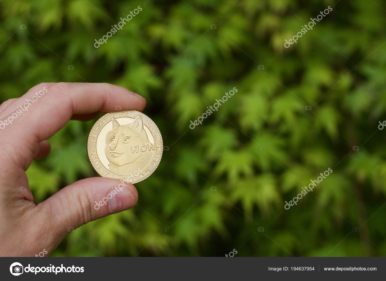 dogecoin transaction cost bitcoin casino registration bonus