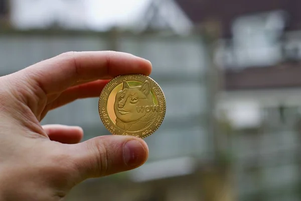 Dijital para fiziksel metal altın dogecoin para. Cryptocurrency açık kavramı.