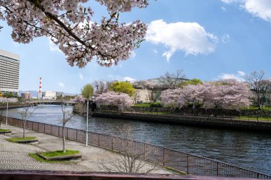 Park ve kanal Osaka Kalesi çevresinde 