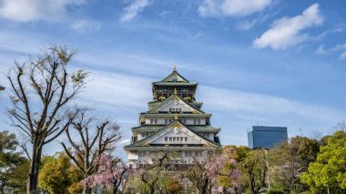 Kiraz çiçeği ağacı önünde olan Japonya'nın Osaka Kalesi