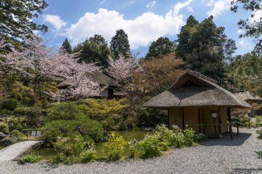 Japon tarzı park vintage Hut