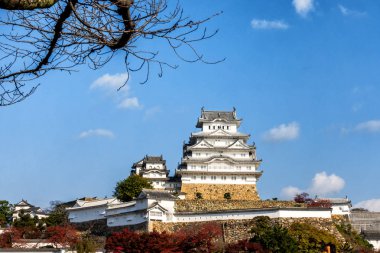 Onun zarif nedeniyle Beyaz Kale ve twigs güzel manzara