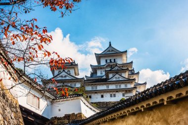 Beyaz dış duvar ve Japon kale ve akçaağaç ağaç dalı
