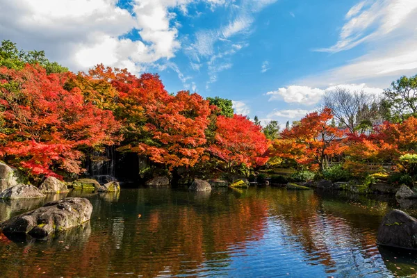 Mooie Japanse tuin en koi vissen in de herfst seizoen — Stockfoto