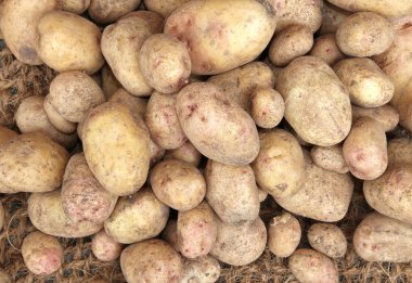 arka plan bakkal satışında ham patates