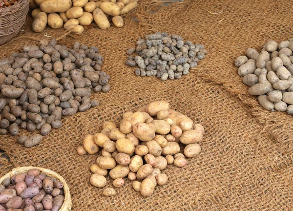 Muitos tipos de batatas cruas para venda — Fotografia de Stock