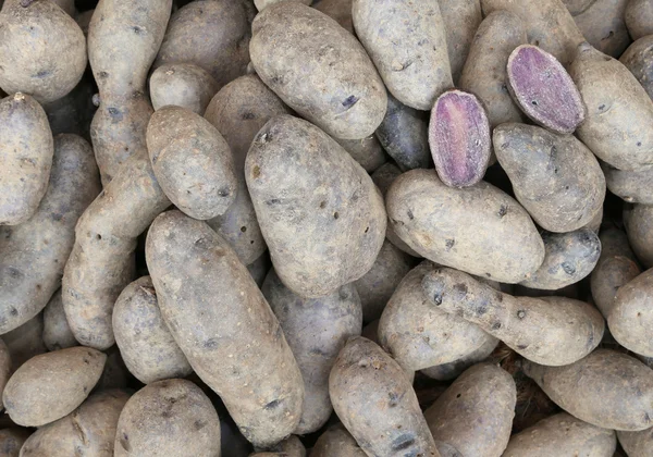Achtergrond van rauwe aardappelen — Stockfoto