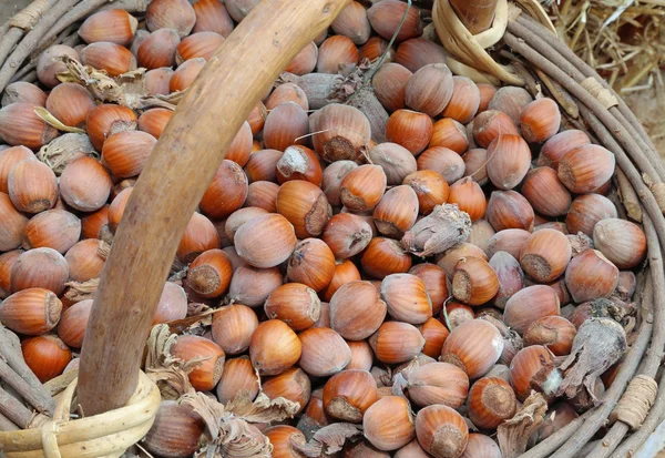 Muitas nozes castanhas na velha cesta — Fotografia de Stock