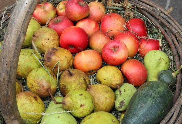 Mnoho jablek a hrušek do staré koše na podzim — Stock fotografie