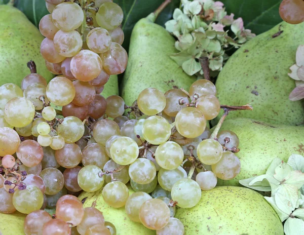 Uvas verdes y peras maduras —  Fotos de Stock