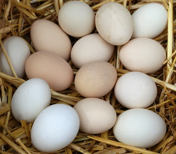 Ovos de galinha frescos frágeis com palha — Fotografia de Stock