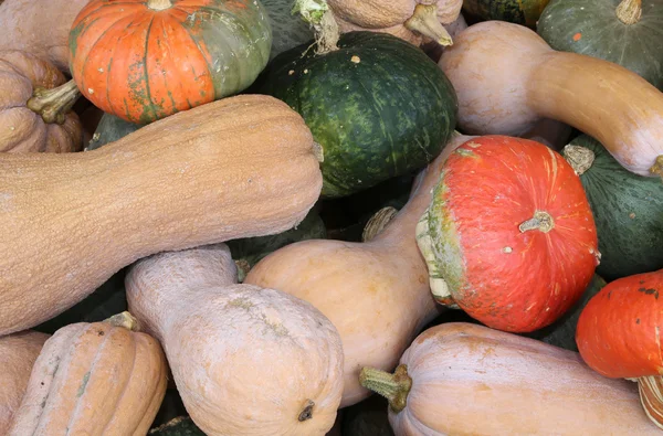 Röd grön och orange pumpor till salu i höst — Stockfoto