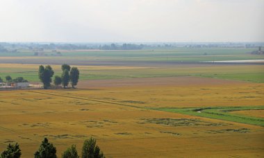 Ekili alanlar ve bitkileri ile ovasının havadan görünümü