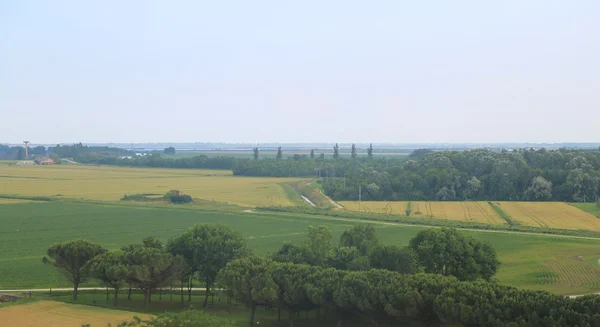 Aerial view of the plain with fields — Stock Photo, Image