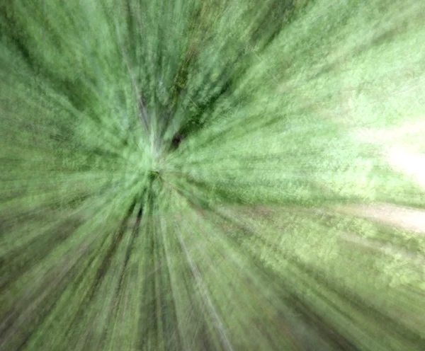 緑の背景の葉意図的にアウト フォーカスの — ストック写真