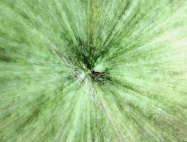 Yeşil arka plan, kasten odak dışı bırakır — Stok fotoğraf