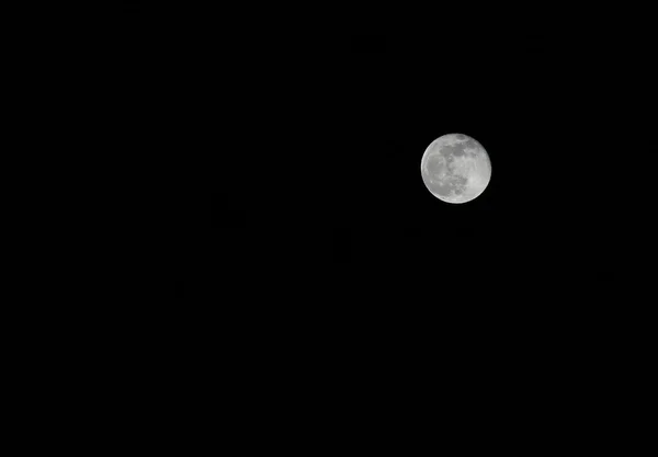 Moon on a dark night without stars — ストック写真