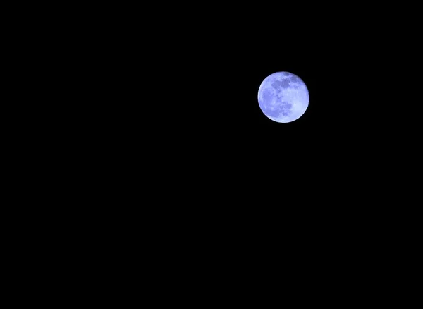 blue moon in the dark night without stars