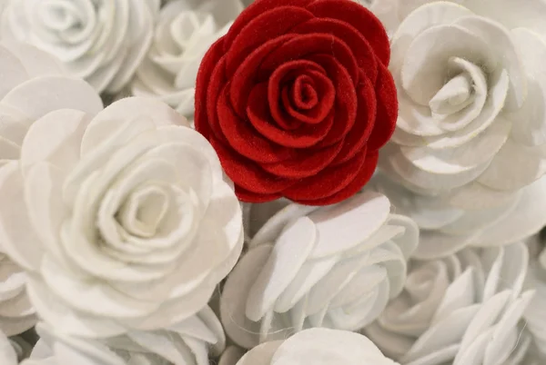 Красная роза и много маленьких белых листьев — стоковое фото