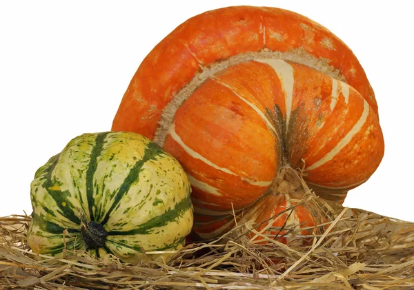 Abóbora laranja para halloween e uma abobrinha verde na palha — Fotografia de Stock