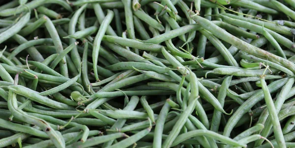 Background of ripe green beans — Stock fotografie