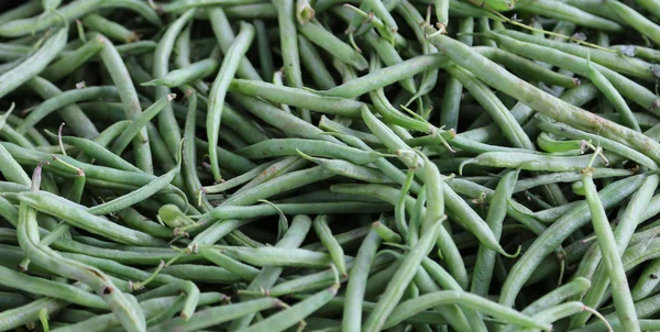 Achtergrond van rijpe groene bonen — Stockfoto