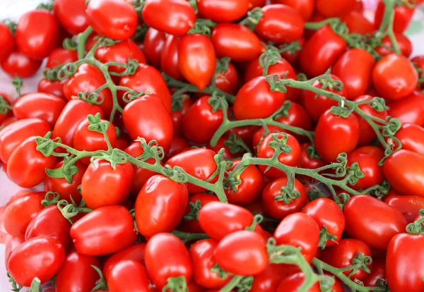 Background of ripe red tomatoes just harvested — Stock Photo, Image