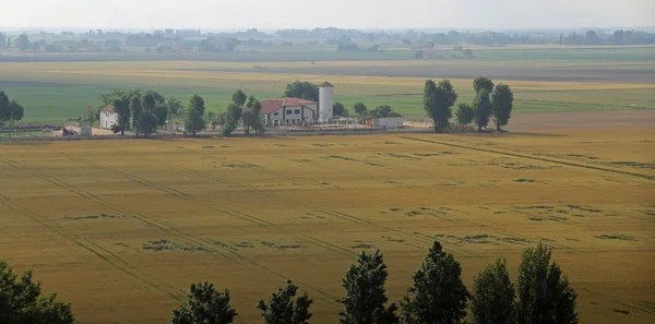 Campi coltivati nella vasta Pianura Padana nel centro Italia — Foto Stock