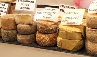many types of pecorino cheese of the Italian written the cheese  clipart