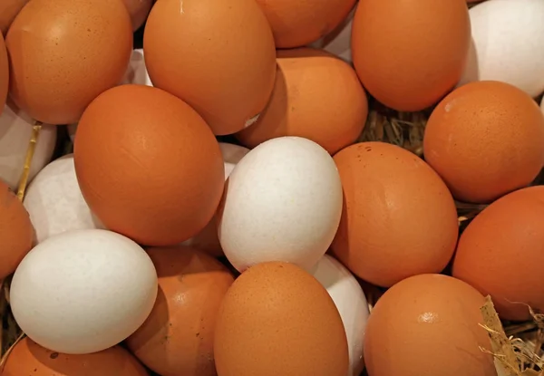 Veel verse kippeneieren net verzameld in de farm — Stockfoto