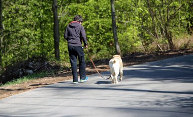 genç çocuk trenler sokak köpeğiyle