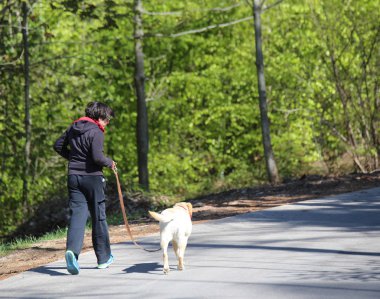onun köpek Labrador geri almak ile yolda çalışan çocuk