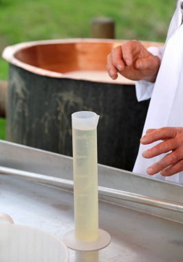 Cheesemaker el tüp lor ile alır