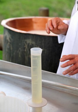 cheesemaker takes with the hand test tube with the curd clipart