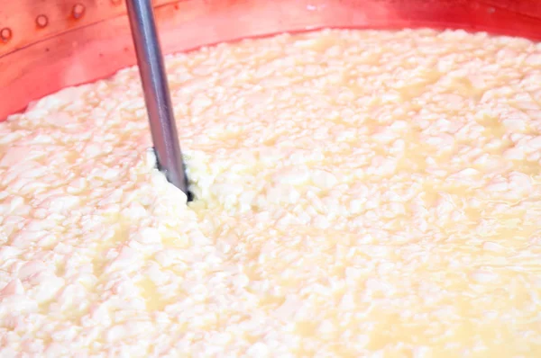 Calderone con il latte fermentato per fare il formaggio nel caseificio — Foto Stock
