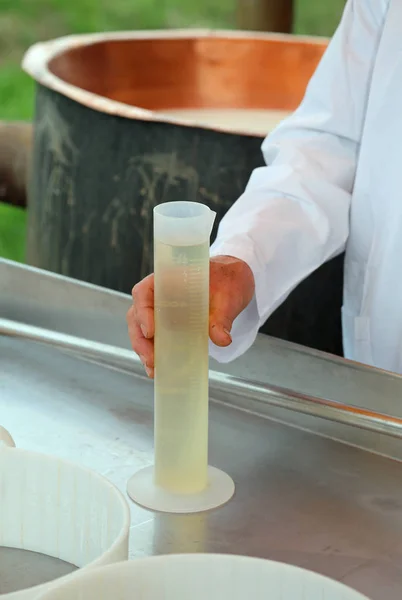 Käser nimmt mit der Hand Reagenzglas mit Quark — Stockfoto