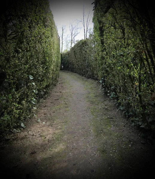 Estrecha calle sin salida en el laberinto — Foto de Stock