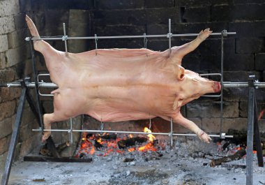 Restoran tükürük içinde pişirilir iken domuz
