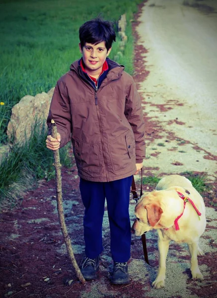child walks with his dog