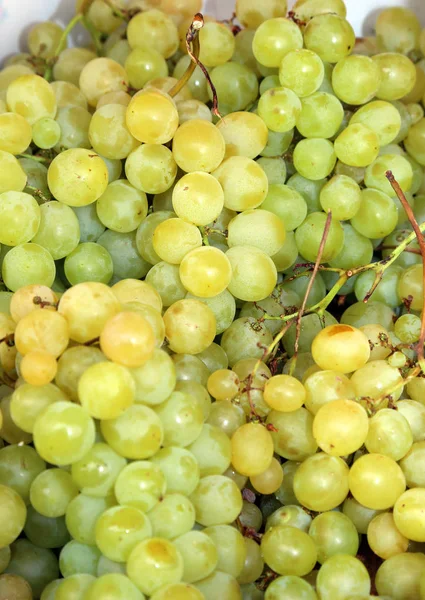 Bunch of white grapes just harvested — Stock Photo, Image