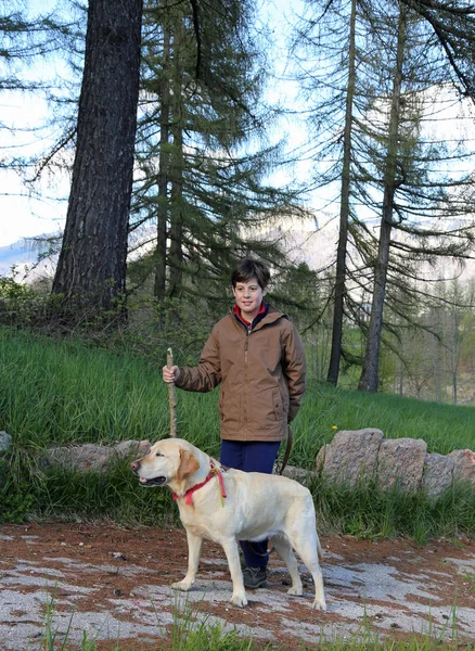 Bambino cammina con il cane al guinzaglio — Foto Stock