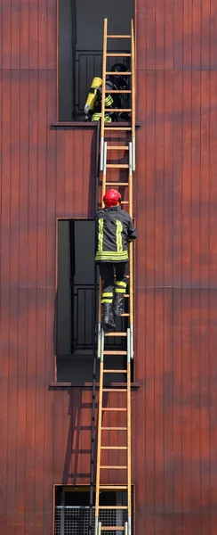 Brandman klättrar upp för stegen under en övning — Stockfoto