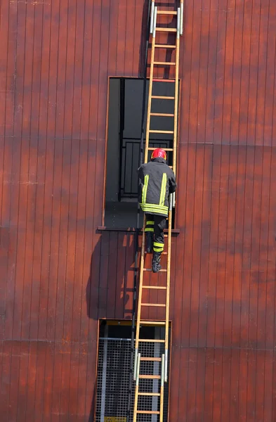 Chefe dos bombeiros como ele sobe a escada durante um — Fotografia de Stock
